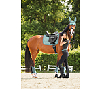 Funktionsgamaschen Mesh-Technology (Vorderbeine)