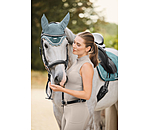 Fliegenhaube Swiss Design