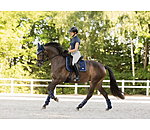 Fliegenhaube Swiss Design