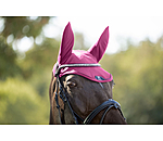 Fliegenhaube Mesh-Technology