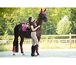 Fliegenhaube Mesh-Technology