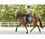 Fliegenhaube Mesh-Technology