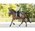 Fliegenhaube Mesh-Technology