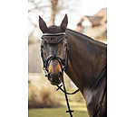 Teddy Fliegenhaube