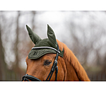 Teddy Fliegenhaube