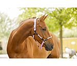 Anatomisches Halfter Sophistication