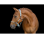 Anatomisches Halfter Sophistication