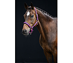 Halfter Swiss Design II