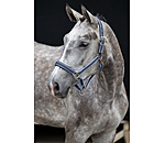 Halfter Swiss Design II