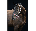 Halfter Essential II