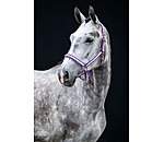 Halfter Essential II