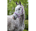 Halfter Essential II