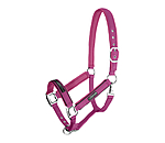 Halfter Mesh-Technology