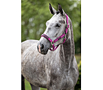 Halfter Mesh-Technology