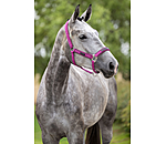 Halfter Mesh-Technology