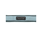 Halfter Mesh-Technology