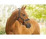 Halfter Twotone & Crystal