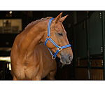 Halfter Twotone & Crystal