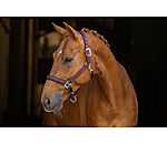 Halfter Twotone & Crystal