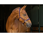 Halfter Twotone & Crystal