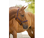 Halfter Twotone & Crystal