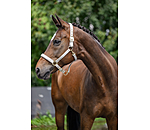 Halfter Signature III