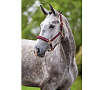 Halfter Signature III