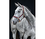 Halfter Signature III