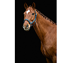 Halfter  Glitter Stone
