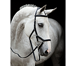 RAMBO MICKLEM Competition Bridle