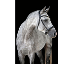 Mix & Match Geltes Leder-Genickstck Gebisslos