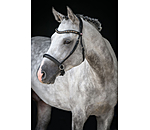 Mix & Match Geltes Leder-Reithalfter Gebisslos