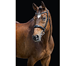 Zaum Alaska mit abnehmbarem Sperrriemen