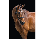 Zaum Alaska mit abnehmbarem Sperrriemen