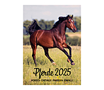 Pferdekalender 2026