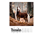 Pferdekalender 2024