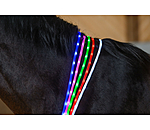 LED-Leuchthalsriemen fr Pferde