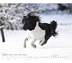 Minis Kalender 2024