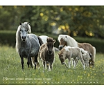 Minis Kalender 2024