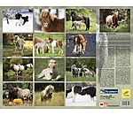 Minis Kalender 2024
