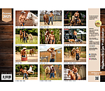Grooms Kalender 2024