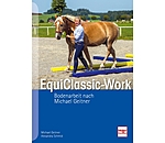 EquiClassic-Work Bodenarbeit nach Michael Geitner