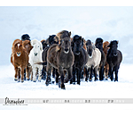 Islnder Kalender 2024
