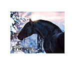 Friesen Kalender 2026