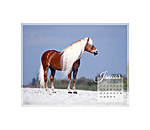 Haflinger Kalender 2024