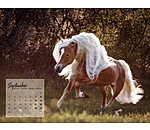 Haflinger Kalender 2023