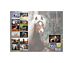 Haflinger Kalender 2024