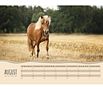 Pony Kalender 2023