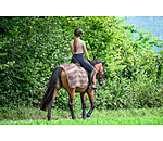 Fliegen-Ausreitdecke Economy Light