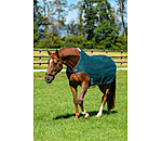 Fliegenschutz-Walker Economy Light